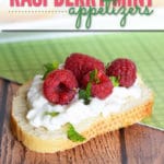 With only 4 ingredients, these unique and delicious raspberry mint appetizers will disappear quickly at your next party.