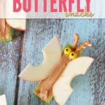 I'm always looking for fun, healthy snacks for kids. And these butterflies combine a fruit and vegetable and protein with a little chocolate treat for kids!