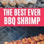 Grilled shrimp collage