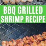 Grilled shrimp collage