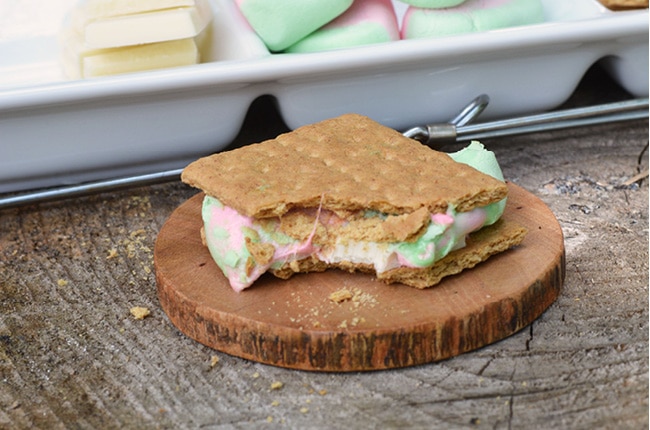 Using white chocolate and watermelon marshmallows, you'll be surprised how tasty these gourmet smores really are.
