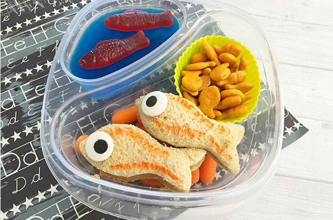 As school is quickly approaching, you'll need to decide hot or cold lunch for your kiddos. If you happen to choose cold, our Fishy Bento Box Lunch is the way to go.