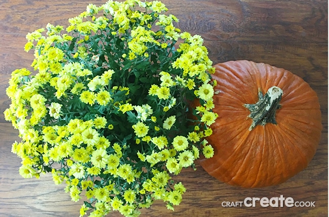 If you're like me and love decorating for different seasons and holidays, you'll want to make this adorable Pumpkin Vase for your house and front porch or give it as a gift.