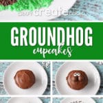 No matter what the prediction, these Groundhog Day Cupcakes will bring a smile to your family!