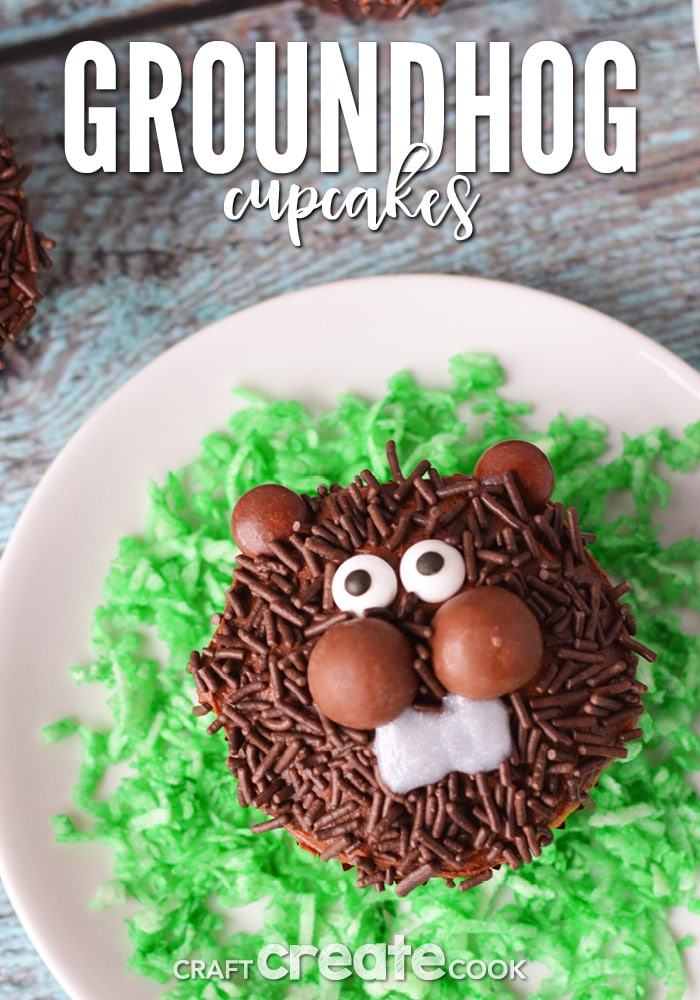 No matter what the prediction, these Groundhog Day Cupcakes will bring a smile to your family!