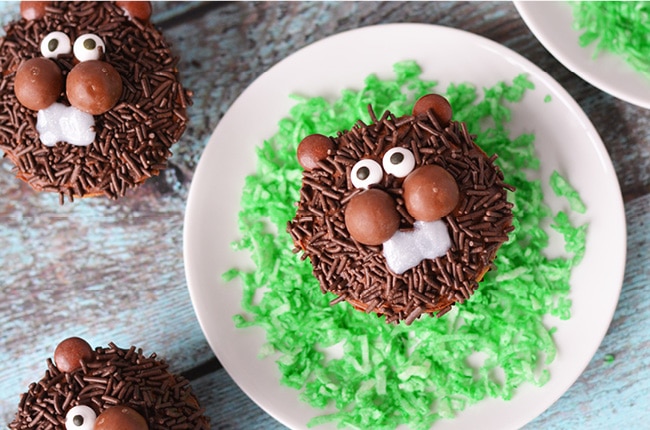 No matter what the prediction, these Groundhog Day Cupcakes will bring a smile to your family!