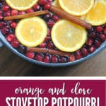 Make your home smell heavenly this holiday season with our homemade cranberry, orange & clove stove top potpourri!
