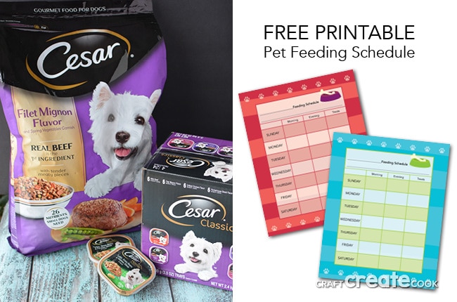 Our Free Printable Pet Feeding Schedule will help you remember to feed your pet