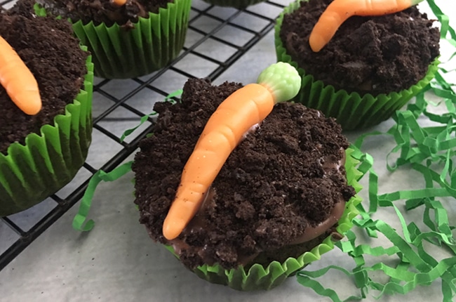These Double Chocolate Carrot Cupcakes are the perfect dessert to get you thinking about Spring.