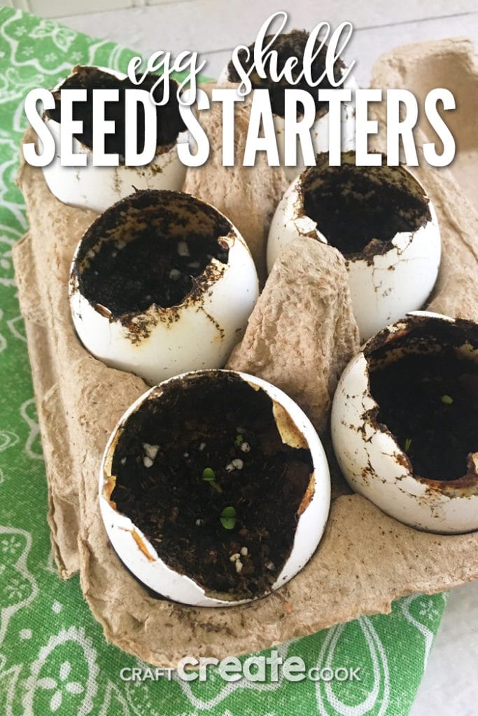 Grow Your Own Herbs Egg Shell Seed Starters Craft Create Cook