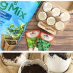 If you love cooking with fresh herbs you will love our Grow Your Own Herbs - Egg Shell Seed Starters.