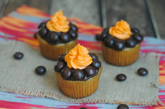 Whether you are camping in the backyard or out in great outdoors, these camping cupcakes fun to make and even funner to eat!