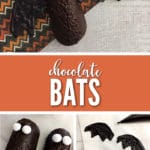 Easy No Bake Chocolate Bats