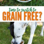 It might be time to consider switching your dog to a healthy grain free dog food diet.