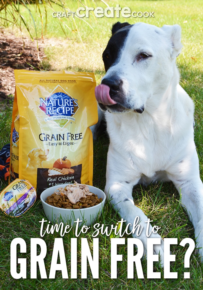 It might be time to consider switching your dog to a healthy grain free dog food diet.