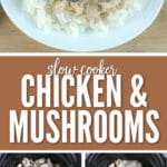 This slow cooker chicken & mushrooms recipe is perfect for a busy week night meal!