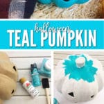 This is the Teal Pumpkin Project that you can use year after year!