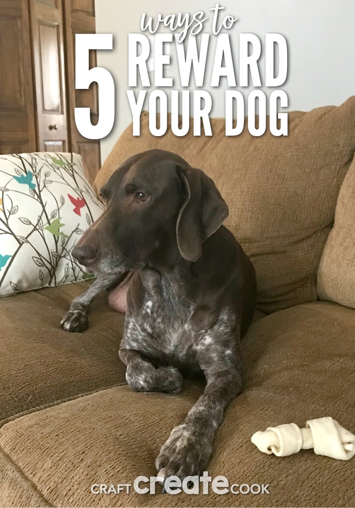 Reward your dog in 5 easy ways!