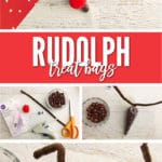 These Rudolph Treat Bags are filled with yummy chocolates and look like reindeer, now that's festive.