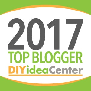 Craft Create Cook makes DIYideaCenter's top 100 projects list!