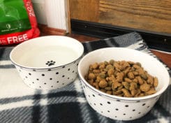 Who Makes American Journey Dog Food Who Makes American Journey Dog Food