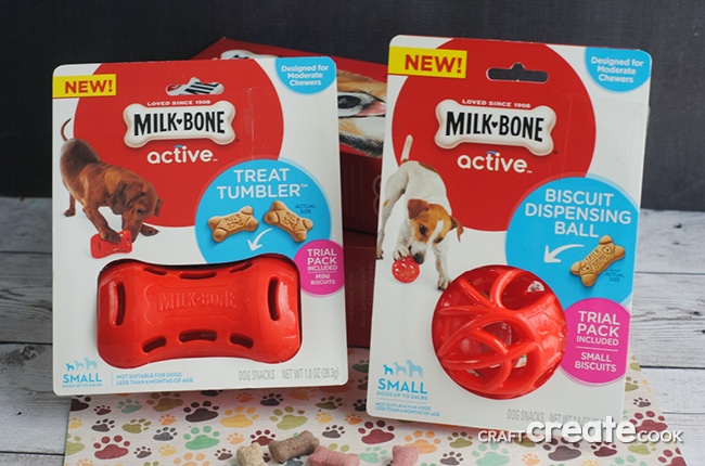 Keep your dog active with fun toys and treats!