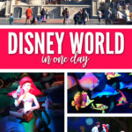 The Magic Kingdom in One Day isn't easy and you'll want to know what exactly to see and do.