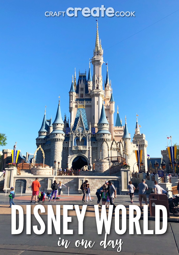 The Magic Kingdom in One Day isn't easy and you'll want to know what exactly to see and do.