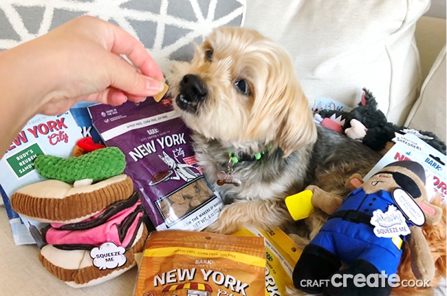 Everyone has heard of BarkBox but did you know they now have a whole line available at Target?