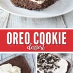 My Oreo cookie dessert is perfect for a large family gathering or just because you want something delicious!