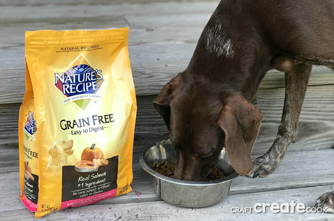 Dogs are man's best friend, treat them that way by giving them the best with Nature's Recipe Grain Free Dog Food!