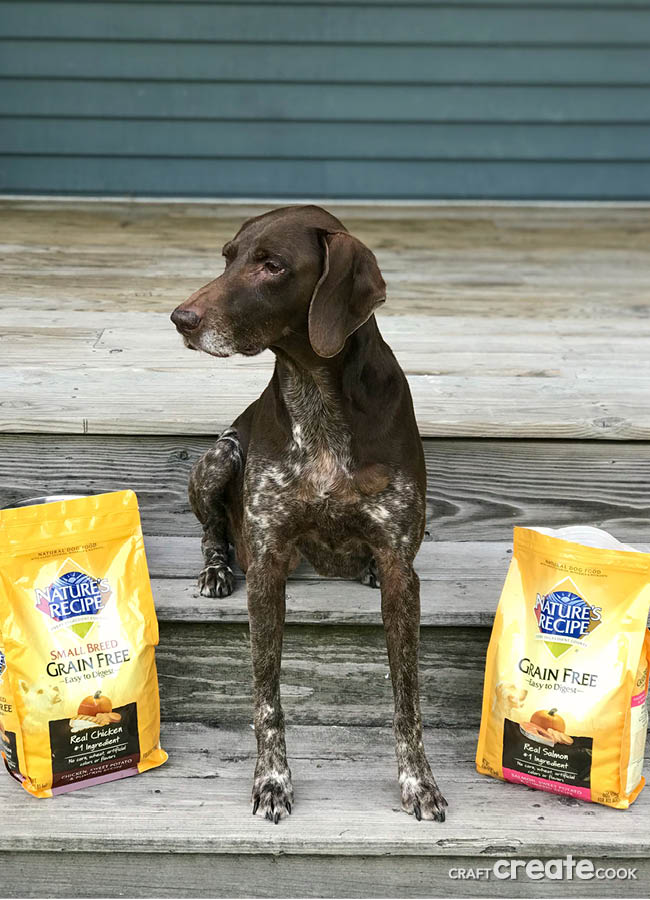 Dogs are man's best friend, treat them that way by giving them the best with Nature's Recipe Grain Free Dog Food!