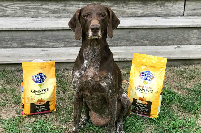 Dogs are man's best friend, treat them that way by giving them the best with Nature's Recipe Grain Free Dog Food!