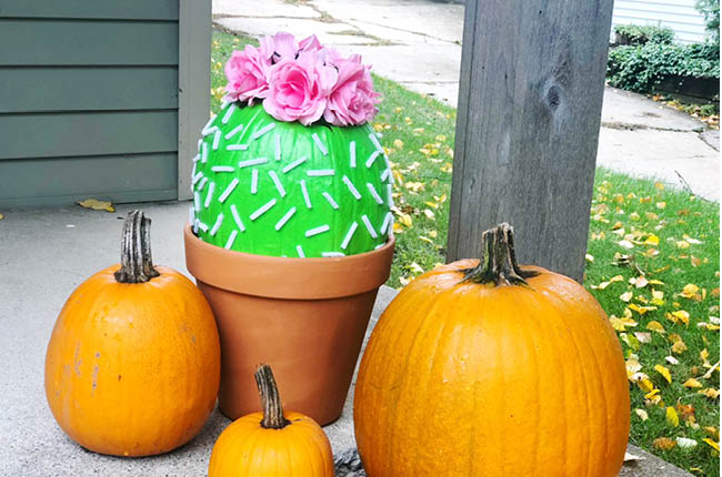 If you're looking for a creative way to paint a pumpkin, our Cactus Painted Pumpkin is the perfect idea.