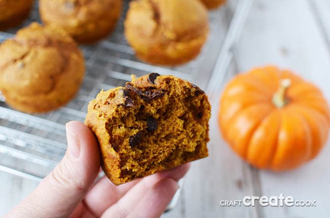 With only 6 ingredients, you cannot go wrong with these simple chocolate chip pumpkin muffins!