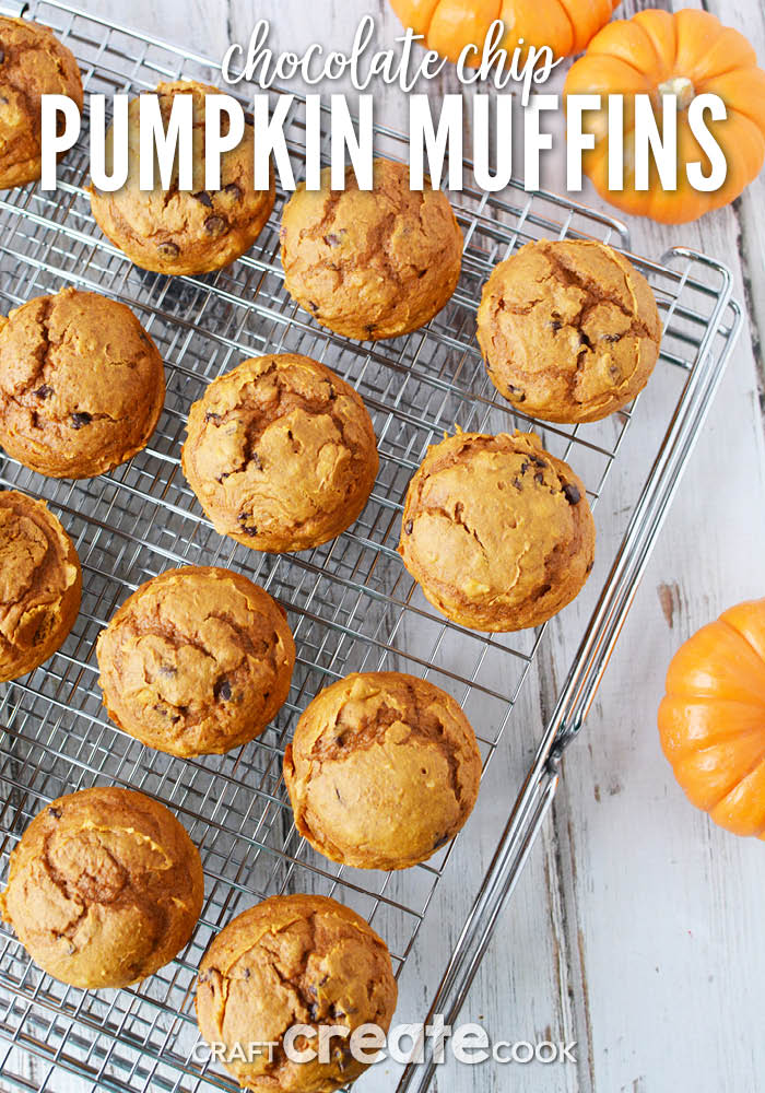 With only 6 ingredients, you cannot go wrong with these simple chocolate chip pumpkin muffins!