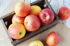 Don't hibernate when the cooler weather comes! Take advantage of the cooler weather and changing seasons and go on an apple picking date!