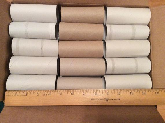 30 Toilet paper tubes great for school or camp craft projects or garden plant starters