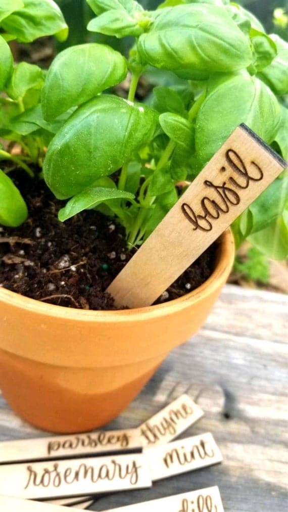 Herb garden markers
