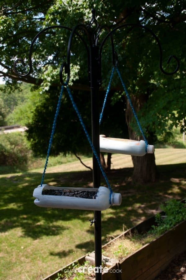 Bird feeders hanging in tree