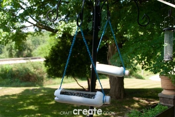 Bird feeders hanging in tree