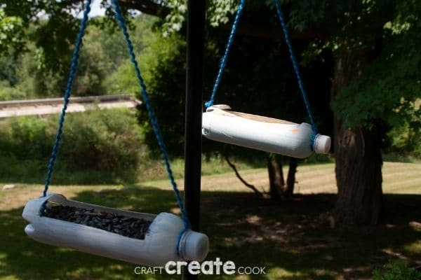 Bird feeders hanging in tree