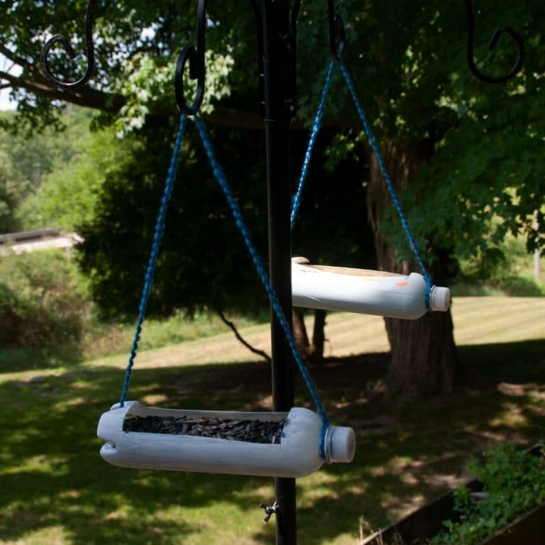 Bird feeders hanging in tree