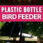 Bird feeder collage