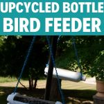 Bird feeder collage