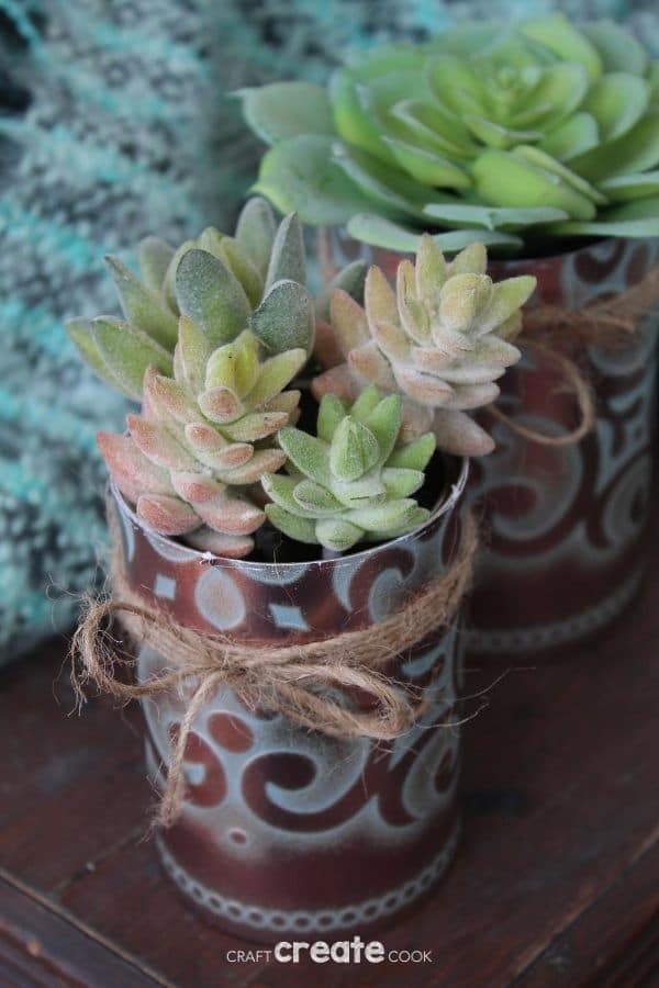 Succulents in copper planters