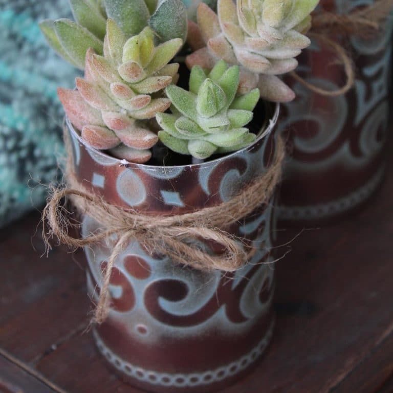 Succulents in copper planters