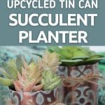 Succulent planter collage