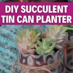 Succulent planter collage