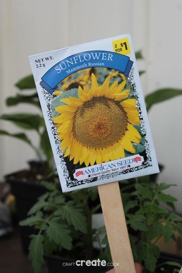 Sunflower seed garden marker